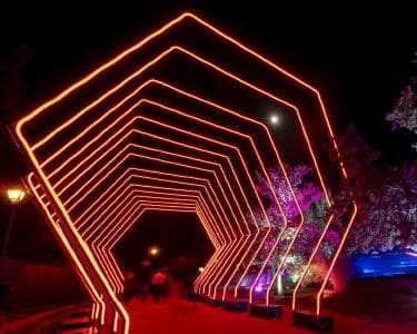 alt_im: MIRAMAR MAGIKOA - Lunes, 08/12