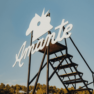 alt_im: FESTIVAL AMANTE